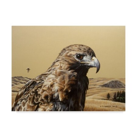 Ron Parker 'Red Tailed Hawk' Canvas Art,35x47
